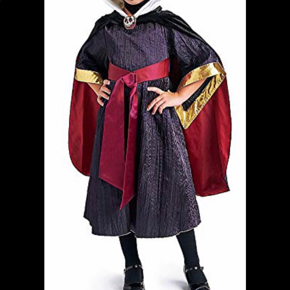 Disney Store Evil Queen Costume
